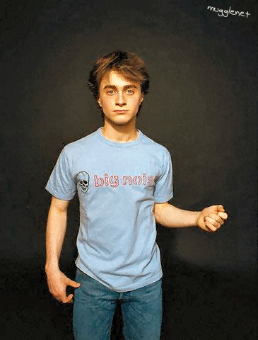 dan16[1].gif