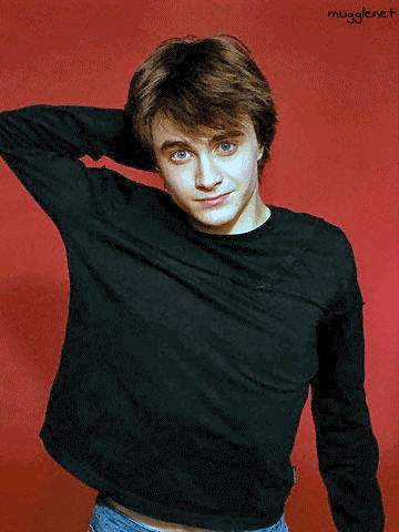 dan2[1].gif