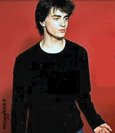 dan22[1].gif