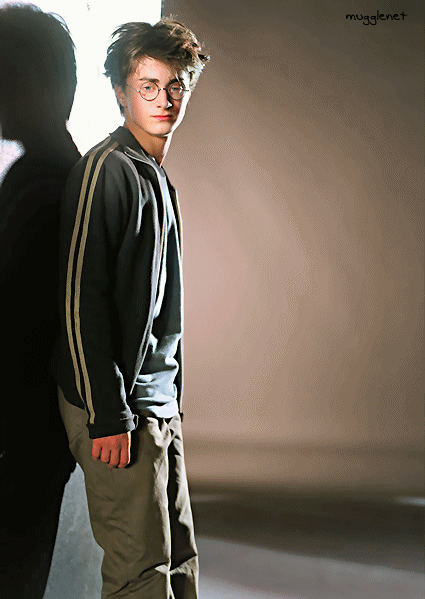 dan24[1].gif