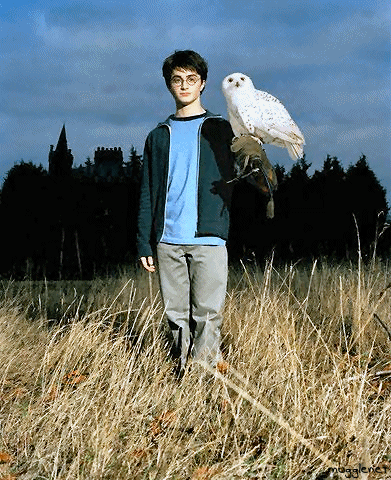 dan8[1].gif