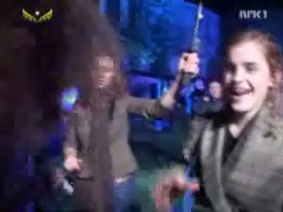 081.jpg