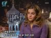 0_5.jpg