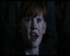 murray_fims_angelasashes_006.jpg