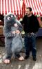 isaacspremiereratatouille003.jpg