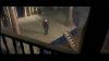 williams_films_shakespeareinlove_005.jpg