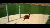 Fred_George_(57_)~0.JPG