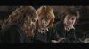HARRY_POTTER_GOBLET_OF_FIRE-685.jpg