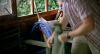 Driving_Lessons5074.jpg