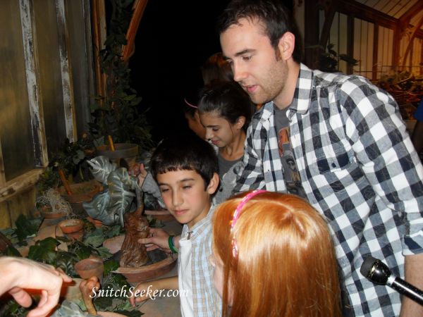 Click to view full size image
==============
SDC11736.jpg SDC11736.jpg