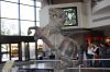 lewis_appearances_bostonhpexhibit09_048.jpg