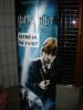 DSC04601.JPG