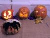 DSCF6588.jpg