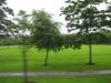 0-07-2007_841_960x720.jpg