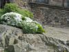 0-07-2007_999_960x720.jpg