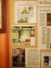 IMG_0266_576x768.JPG