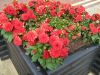 0-07-2007_693_800x600.jpg