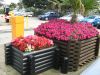 0-07-2007_694_800x600.jpg