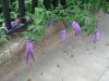 0-07-2007_697_800x600.jpg