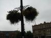0-07-2007_476_800x600.jpg