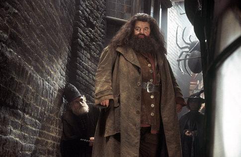 Hagrid
Palavras-chave: Hagrid Hagrid
Palavras-chave: Hagrid