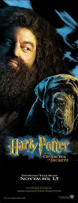 Marca-página Hagrid
Palavras-chave: Marca-página Hagrid Câmara Secreta Marca-página Hagrid
Palavras-chave: Marca-página Hagrid Câmara Secreta