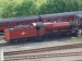 express2~1.jpg