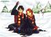 hgsnow.jpg