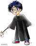 sdharry.jpg