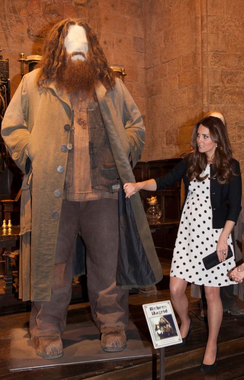 Click to view full size image
==============
002_Great-Hall-The_Duchess_and_Hagrid.jpg 002_Great-Hall-The_Duchess_and_Hagrid.jpg