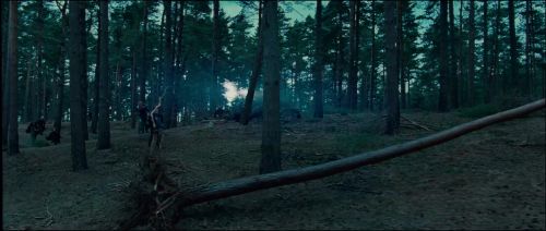 Click to view full size image
==============
046C007D_HP7PT1_TRL1_1080_309.jpg 046C007D_HP7PT1_TRL1_1080_309.jpg