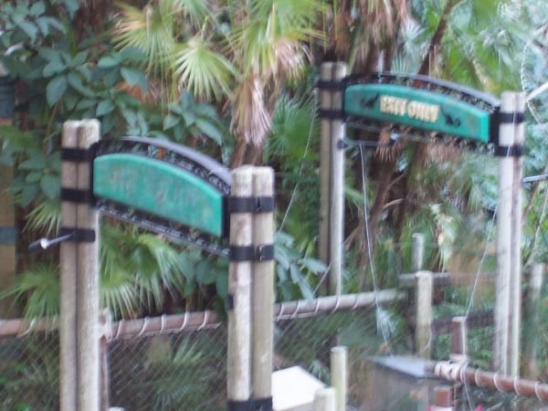 100_5581.JPG