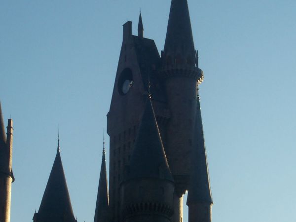 100_5625.JPG