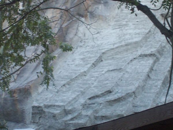100_5654.JPG