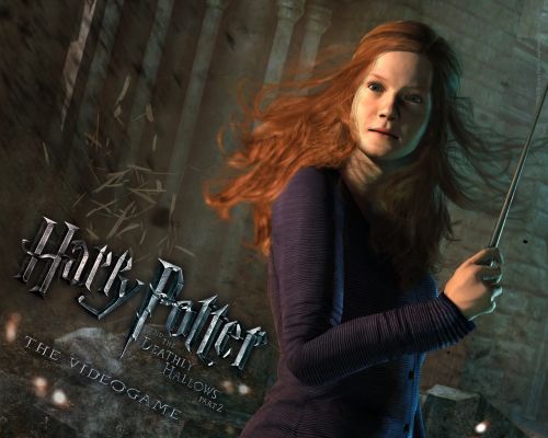 1280x1024_ginny_NDL_ENG.jpg