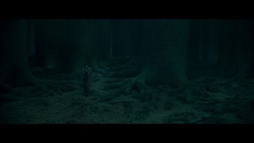 8CF2298A_HP7_ABC_FAMILY_INTERSTITIAL_THE_STORY_1080_436.jpg