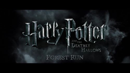 8E912DE2_HP7_ABC_FAMILY_INTERSTITIAL_FOREST_RUN_1080_028.jpg