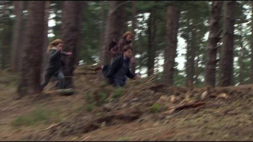 8E912DE2_HP7_ABC_FAMILY_INTERSTITIAL_FOREST_RUN_1080_074.jpg