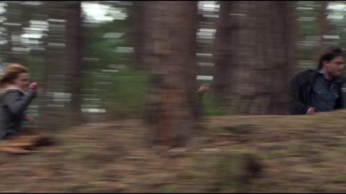 8E912DE2_HP7_ABC_FAMILY_INTERSTITIAL_FOREST_RUN_1080_083.jpg