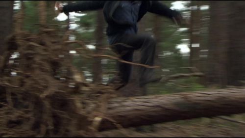 8E912DE2_HP7_ABC_FAMILY_INTERSTITIAL_FOREST_RUN_1080_097.jpg