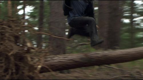 8E912DE2_HP7_ABC_FAMILY_INTERSTITIAL_FOREST_RUN_1080_098.jpg