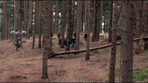 8E912DE2_HP7_ABC_FAMILY_INTERSTITIAL_FOREST_RUN_1080_107.jpg