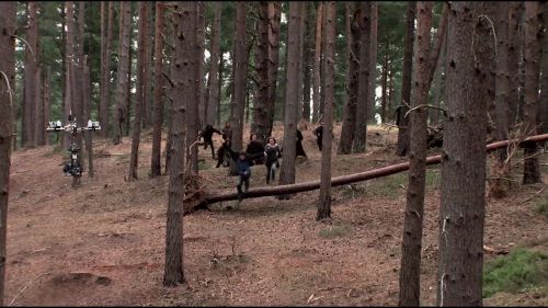 8E912DE2_HP7_ABC_FAMILY_INTERSTITIAL_FOREST_RUN_1080_110.jpg