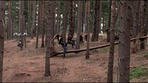 8E912DE2_HP7_ABC_FAMILY_INTERSTITIAL_FOREST_RUN_1080_111.jpg