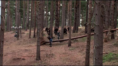 8E912DE2_HP7_ABC_FAMILY_INTERSTITIAL_FOREST_RUN_1080_112.jpg