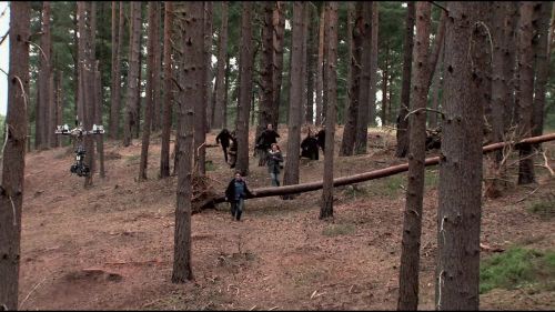 8E912DE2_HP7_ABC_FAMILY_INTERSTITIAL_FOREST_RUN_1080_113.jpg