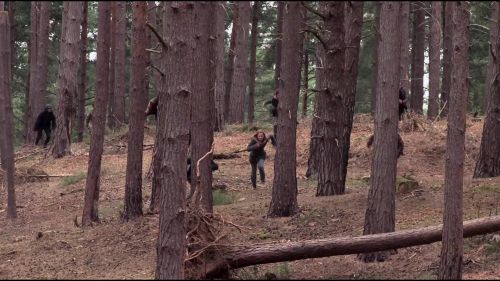 8E912DE2_HP7_ABC_FAMILY_INTERSTITIAL_FOREST_RUN_1080_127.jpg