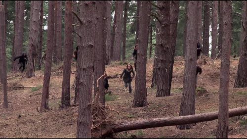 8E912DE2_HP7_ABC_FAMILY_INTERSTITIAL_FOREST_RUN_1080_128.jpg