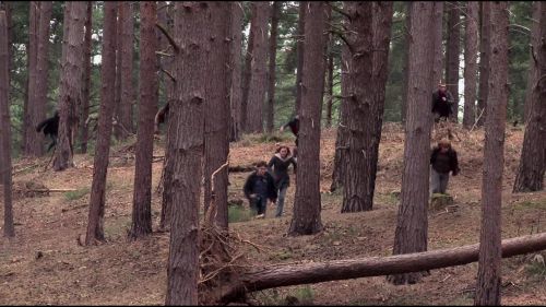 Click to view full size image
==============
8E912DE2_HP7_ABC_FAMILY_INTERSTITIAL_FOREST_RUN_1080_132.jpg 8E912DE2_HP7_ABC_FAMILY_INTERSTITIAL_FOREST_RUN_1080_132.jpg