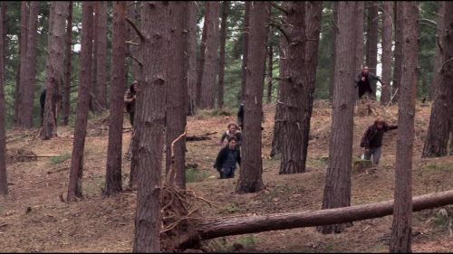 8E912DE2_HP7_ABC_FAMILY_INTERSTITIAL_FOREST_RUN_1080_134.jpg